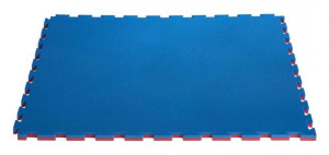 Spartan žíněnka TATAMI - TAEKWONDO, puzzle color 100x100x2cm, 1721SP