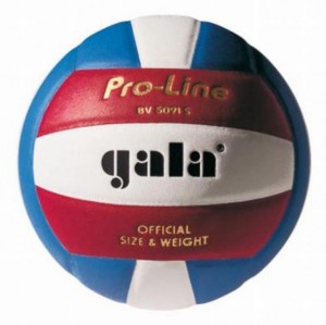 Gala míč volejbal OFFICIAL COLOR BV5091S1, 3873