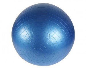 Hawk gymball Anti-Bust, 65 cm, 1858