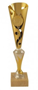 Garko sportovní pohár PS116, 1. až 3. místo