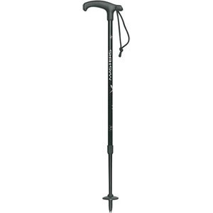 Masters trekkingová hůl Walker, 60-100 cm, pár