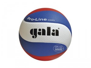 Gala míč na volejbal Pro line 5591S, 3869